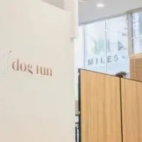 dog funの新戦略