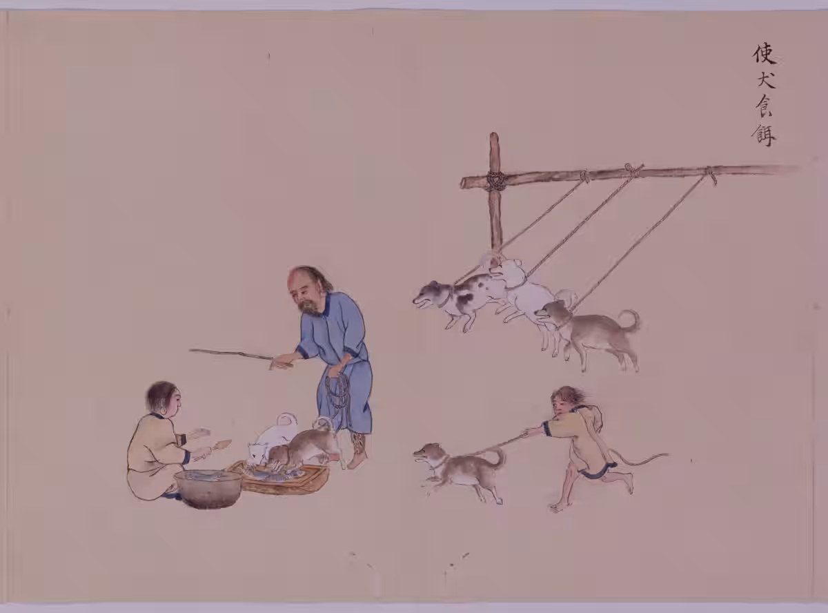 画像5
