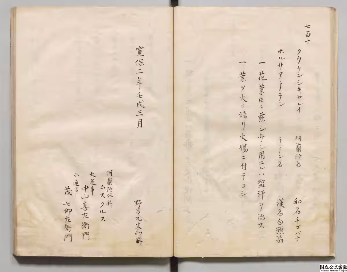 画像4