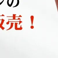 MAMORIO×港のひかり