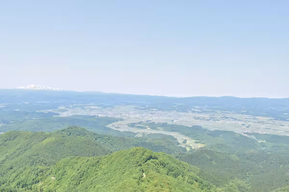 画像4