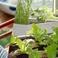 フードテックコンテスト