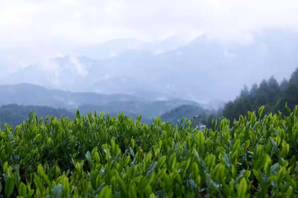 画像16