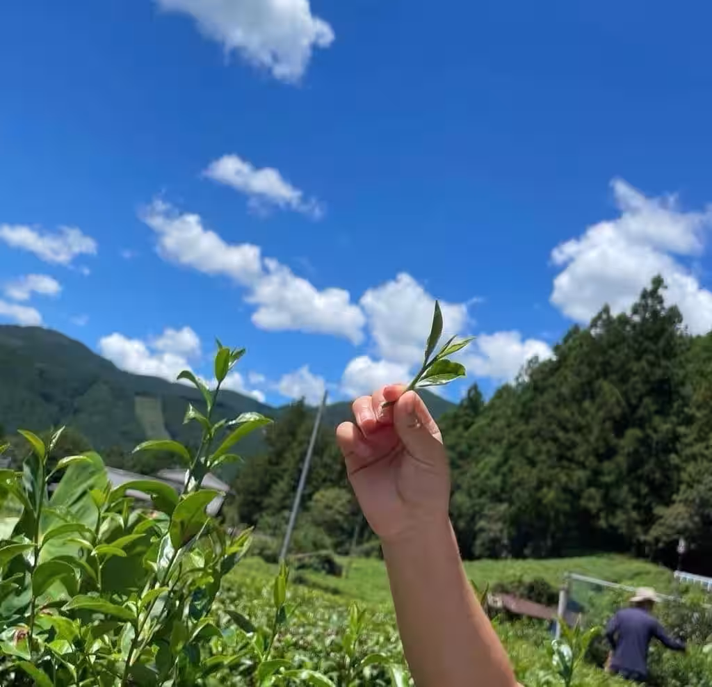 画像15