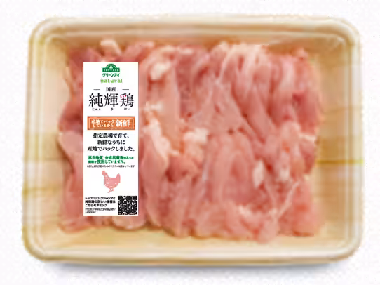 画像17
