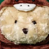 午年テディベア