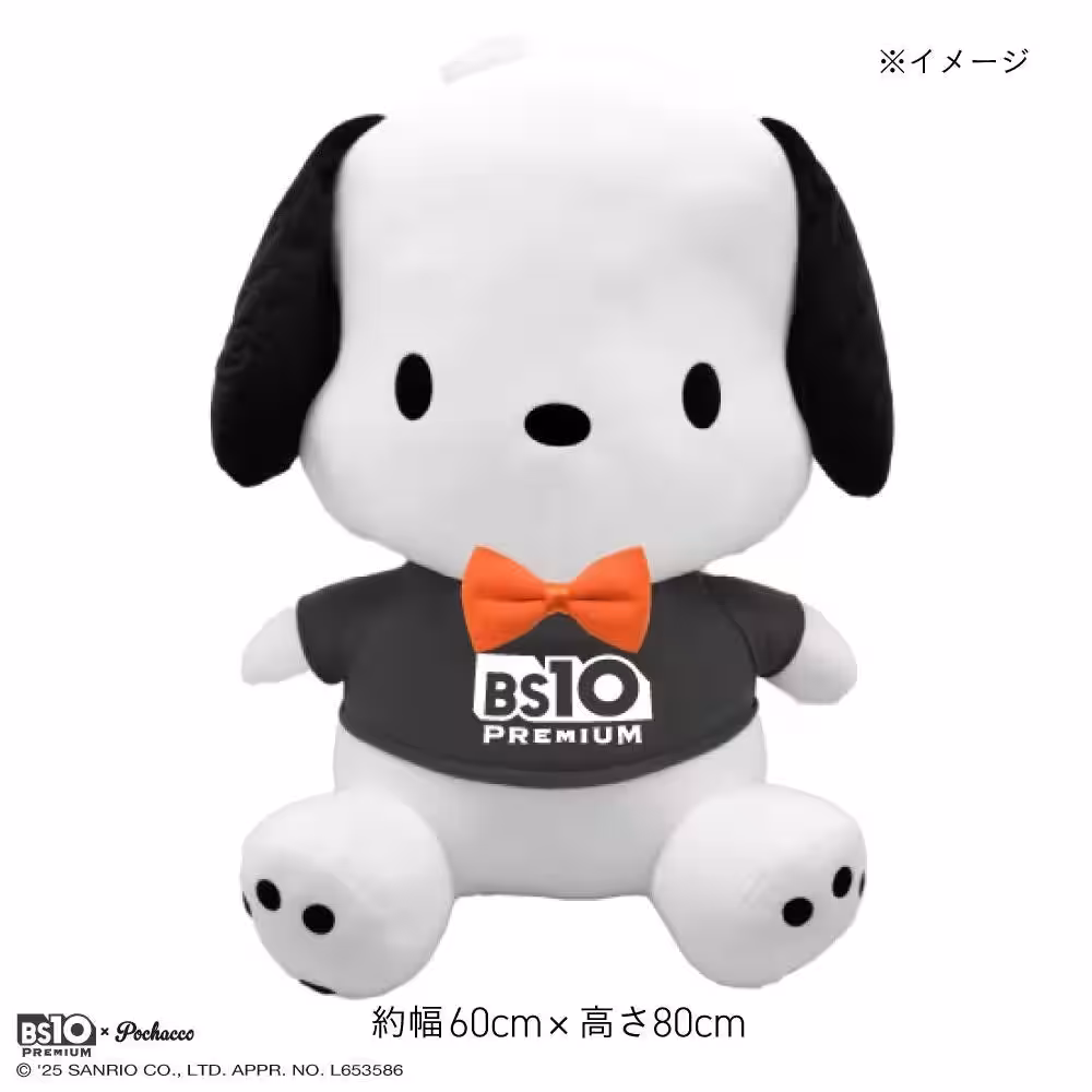 画像9