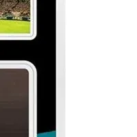 タイガース優勝記念