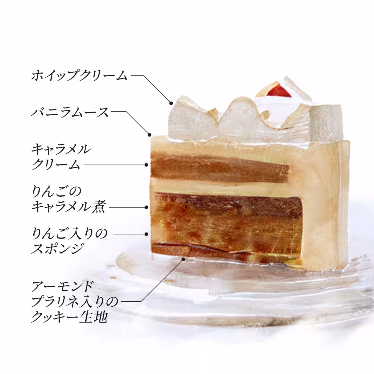 画像16