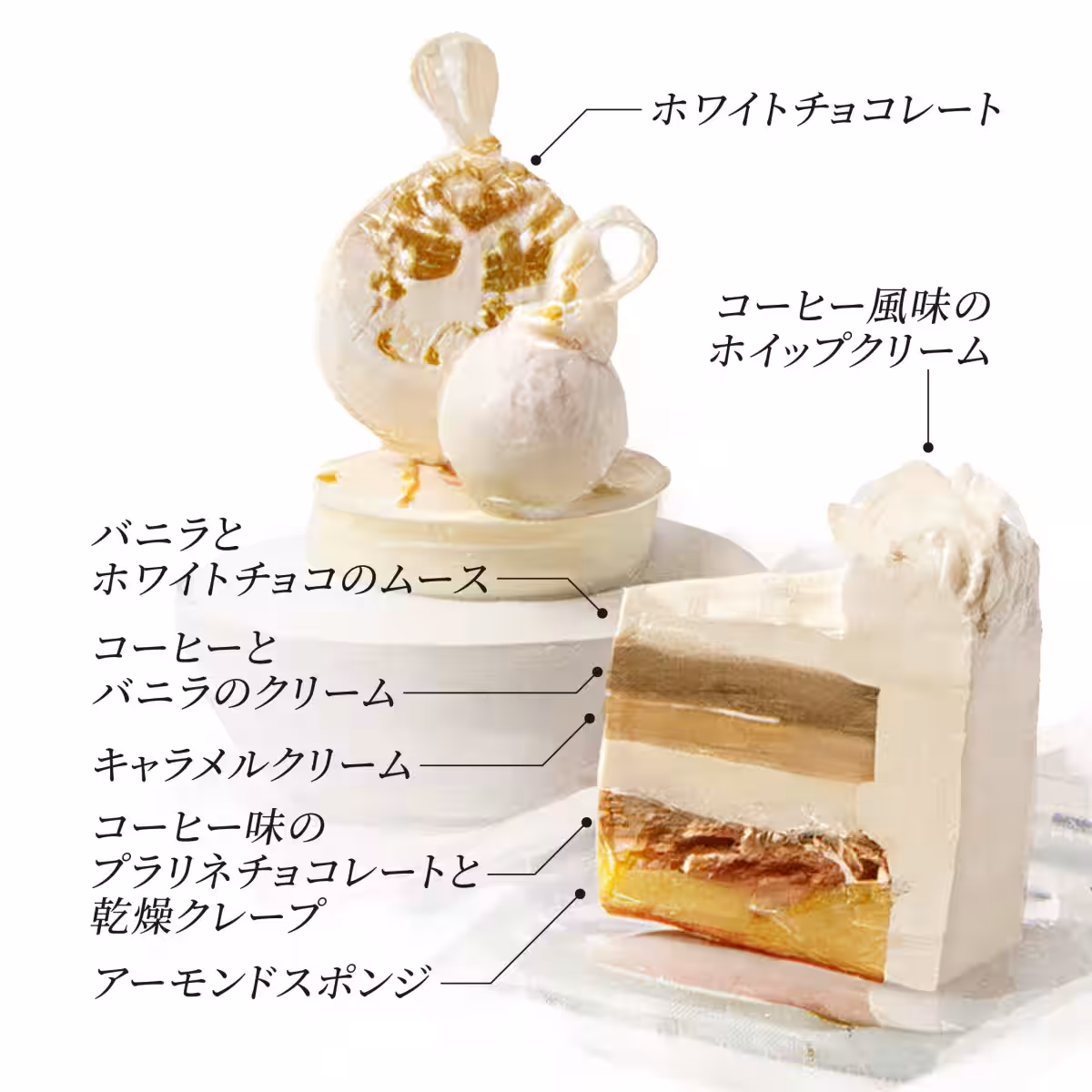 画像14