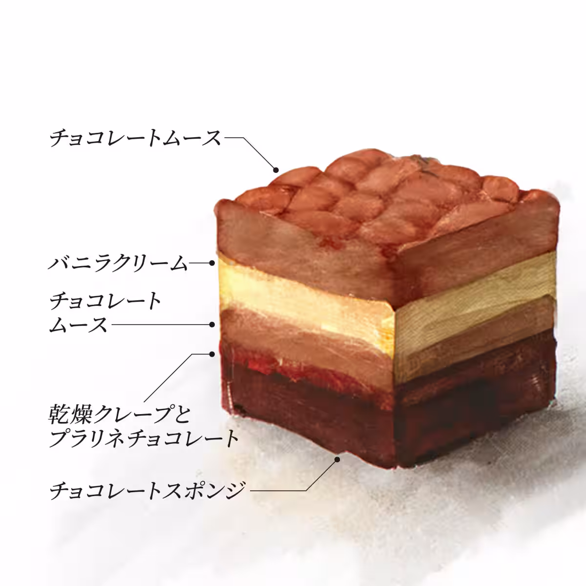 画像11