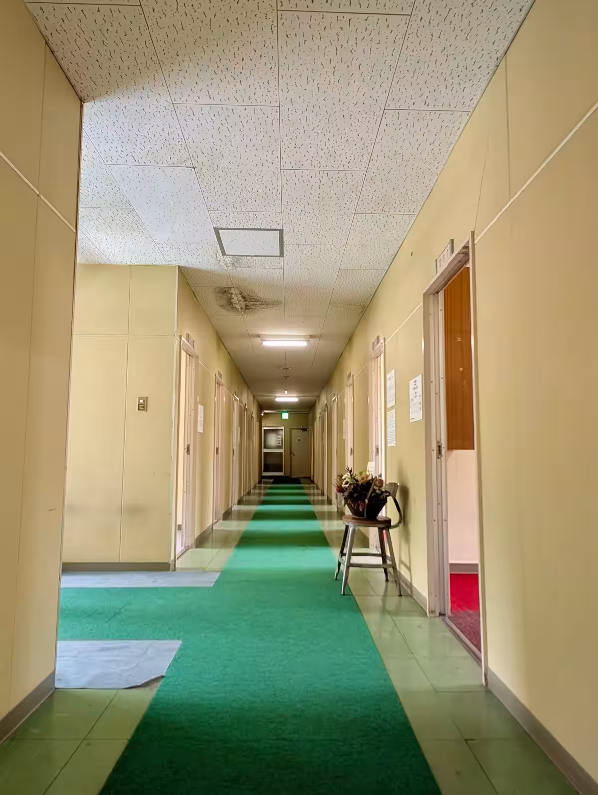 画像8