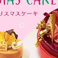 小田急のクリスマスケーキ