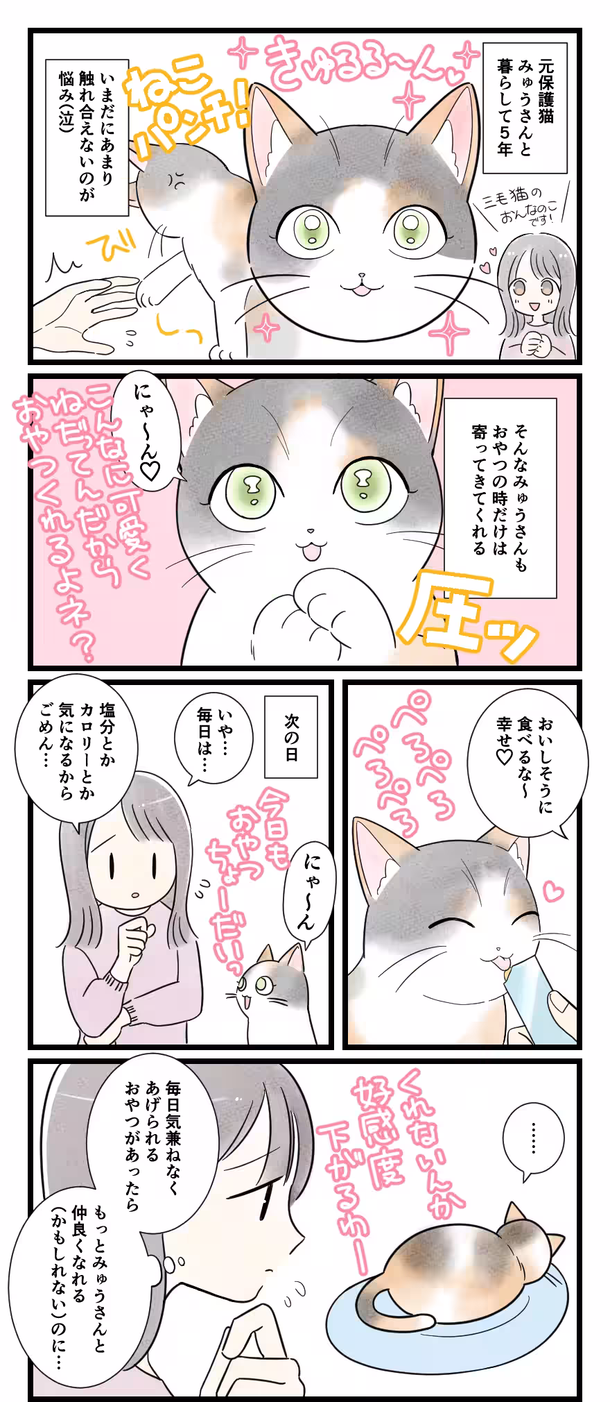 画像4