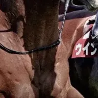 競馬中継がABEMAに登場