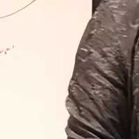 タイガーモブに李氏参画