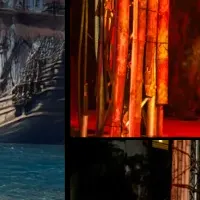 ディナーショー開幕