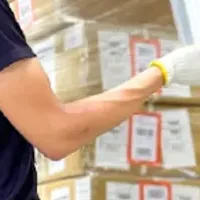 JALがバイオマス採用