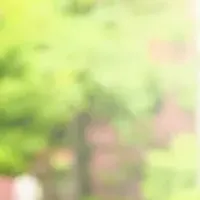 オリコの新報告書