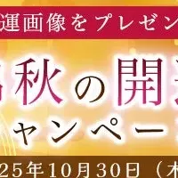 真木あかりの運勢