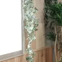 現場に癒しを