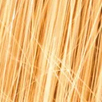 エルメスの新展覧会