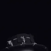 未来を体験する会議