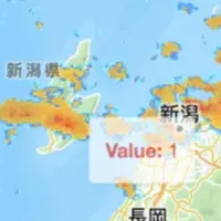 新サービス開始