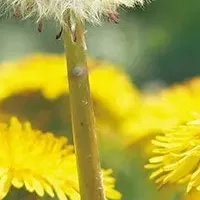 鈴木純の新絵本