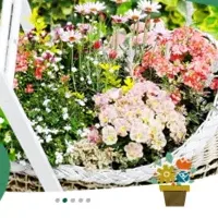 CAINZ DIY Squareがリニューアル