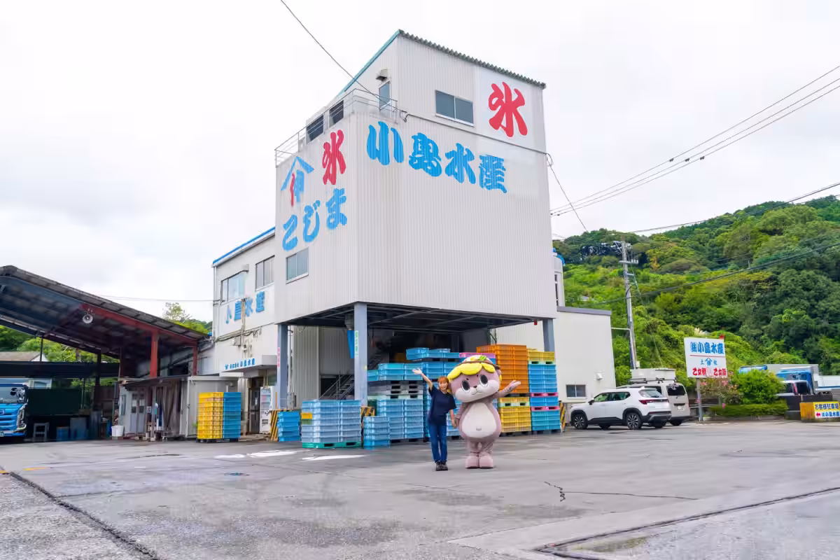 画像9