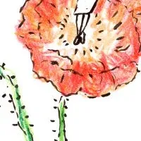 未来の紙と暮らし