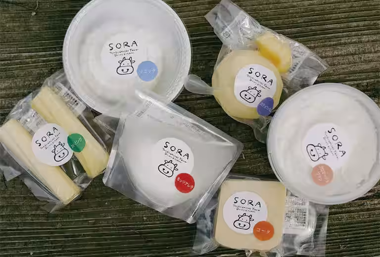 画像22