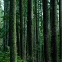 サステナブル喫煙所