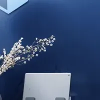 レベニュー改革の取り組み