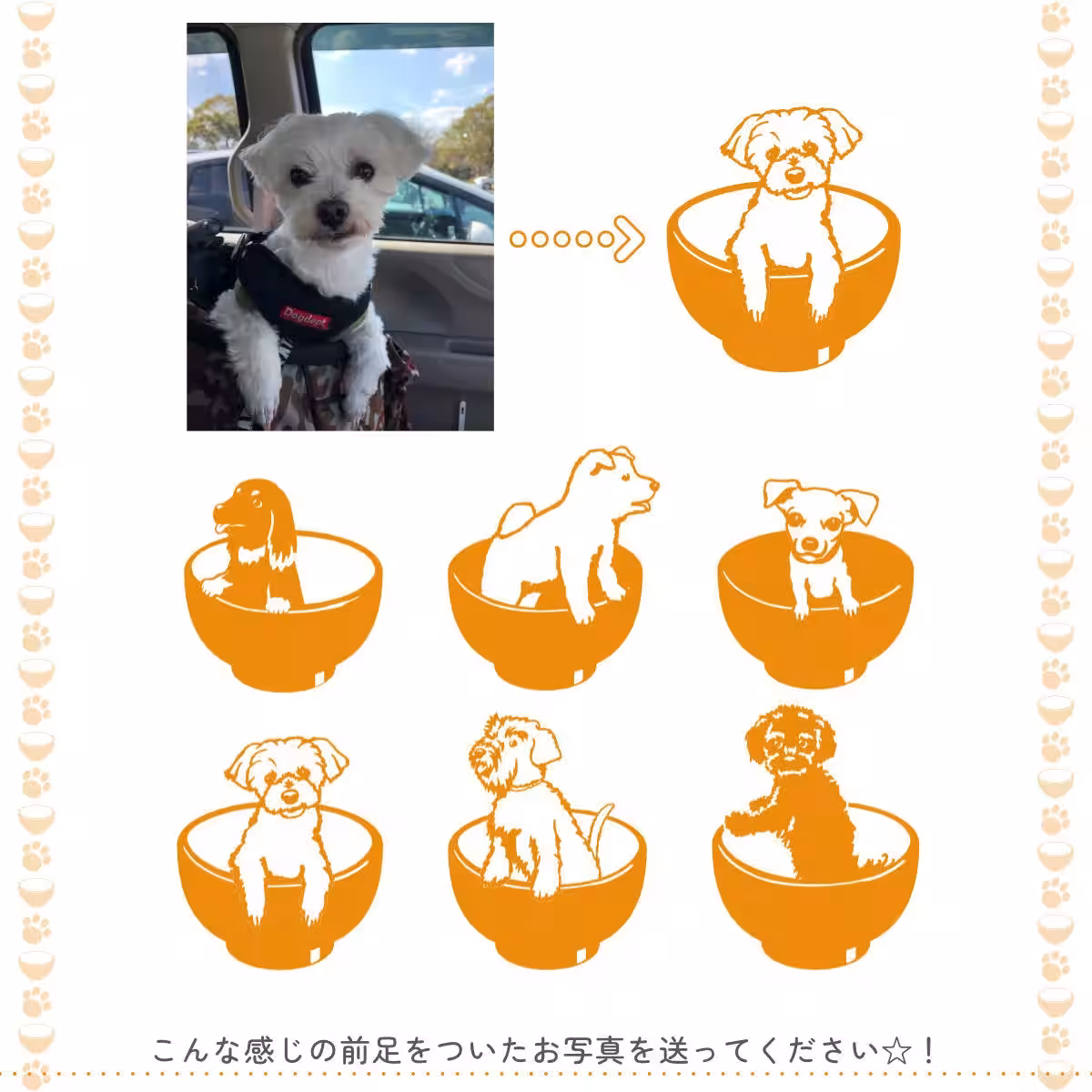 画像8