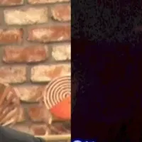 ロバーツ特別版配信