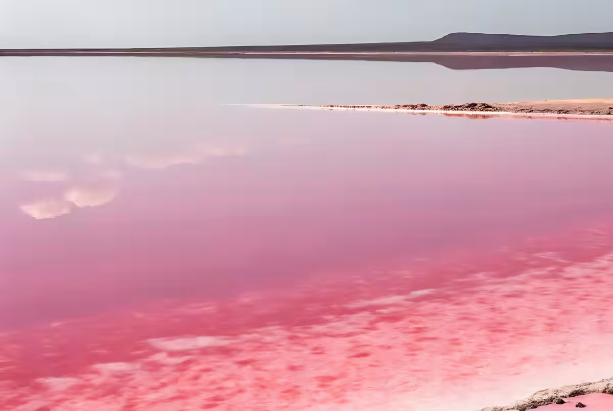 画像16