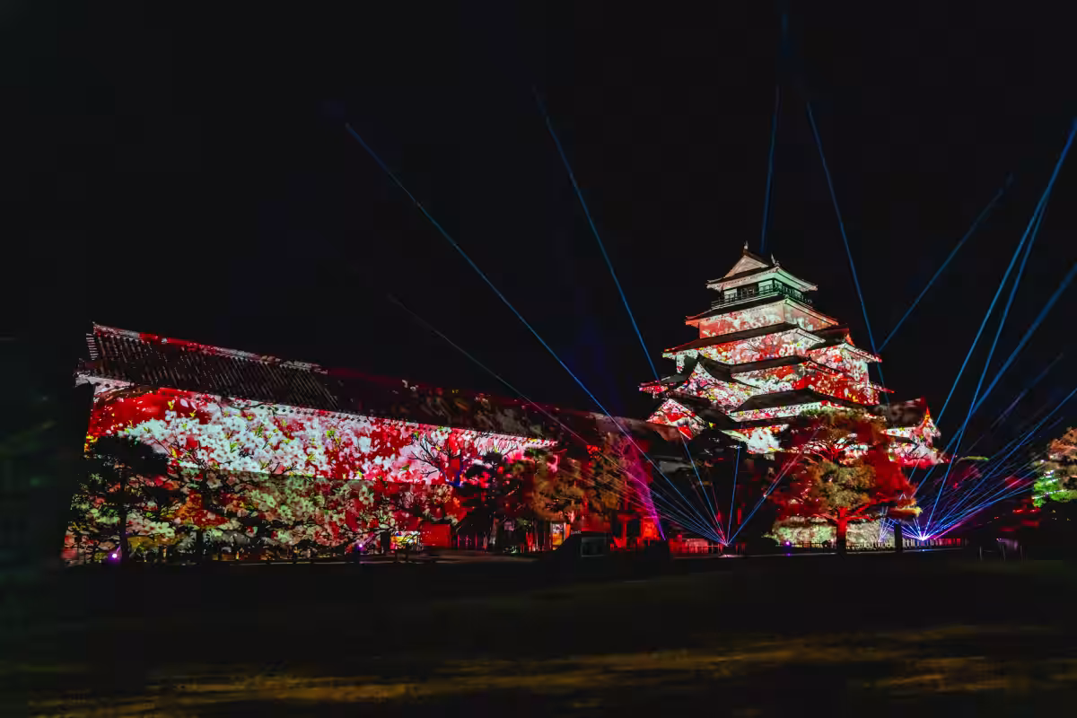画像7