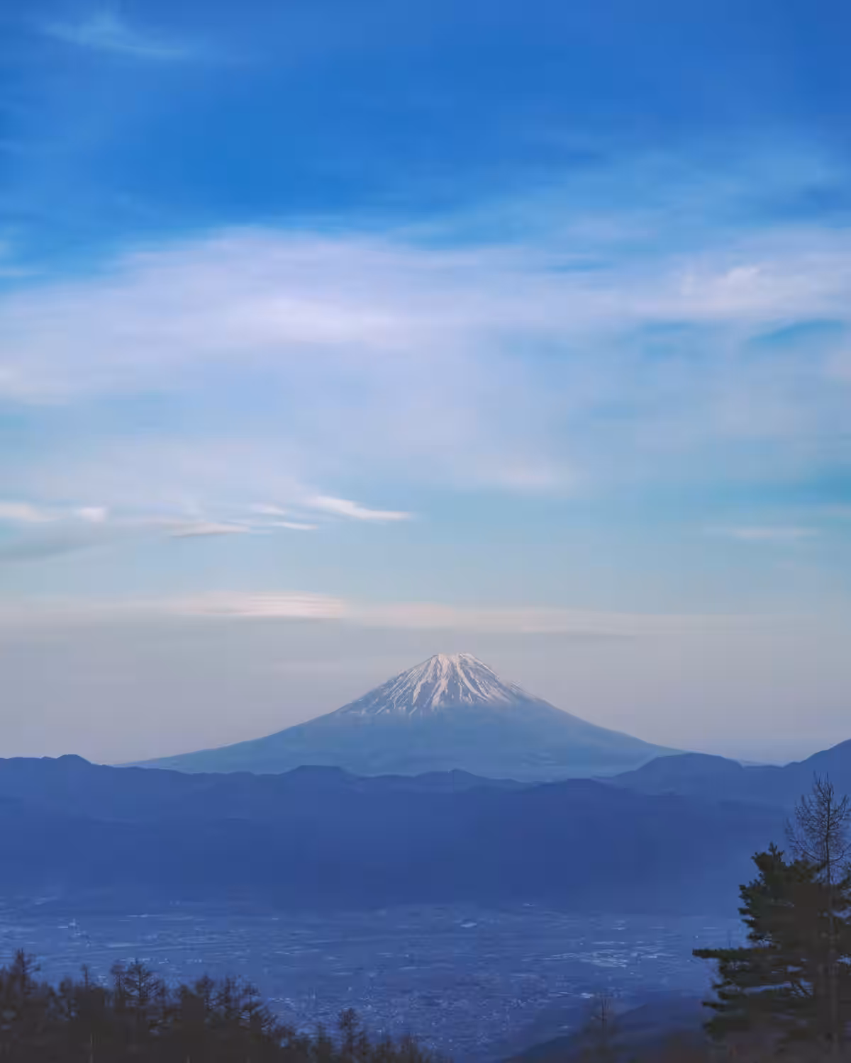画像11