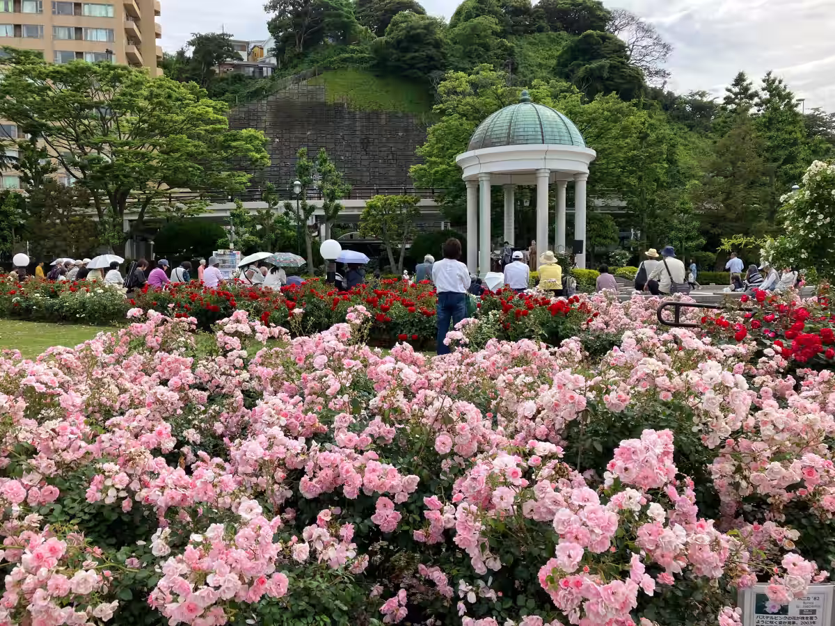 画像4