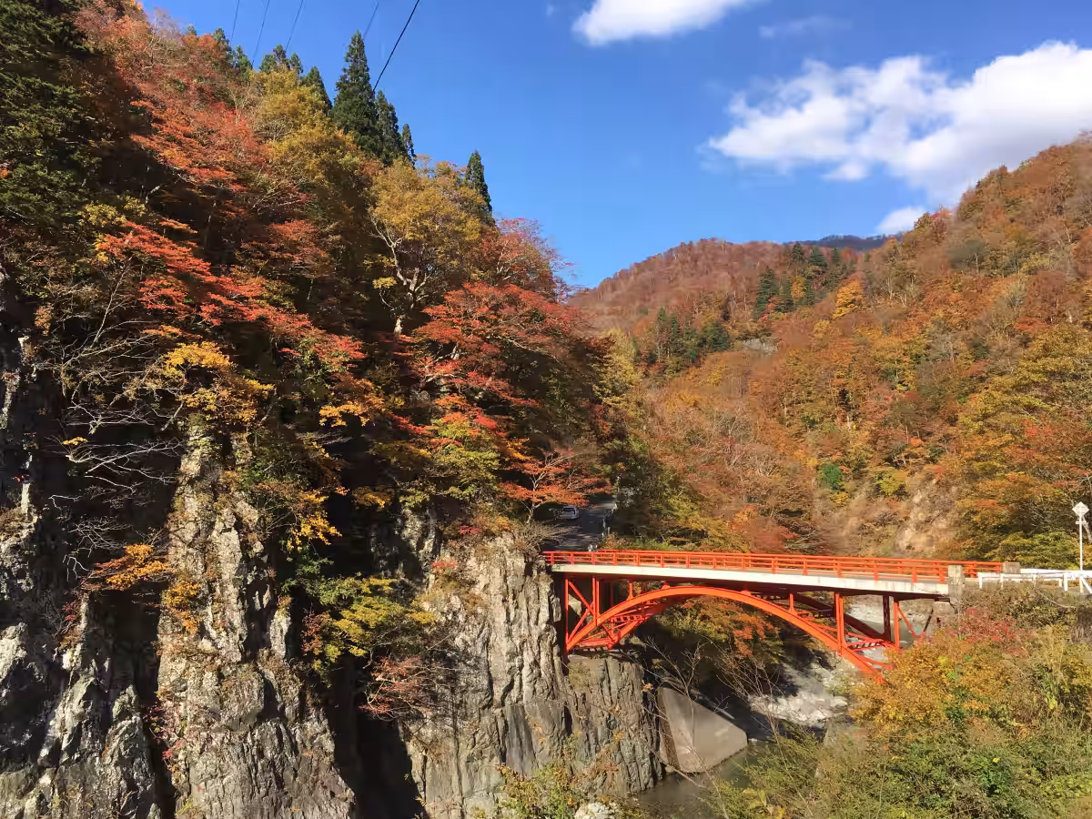 画像7