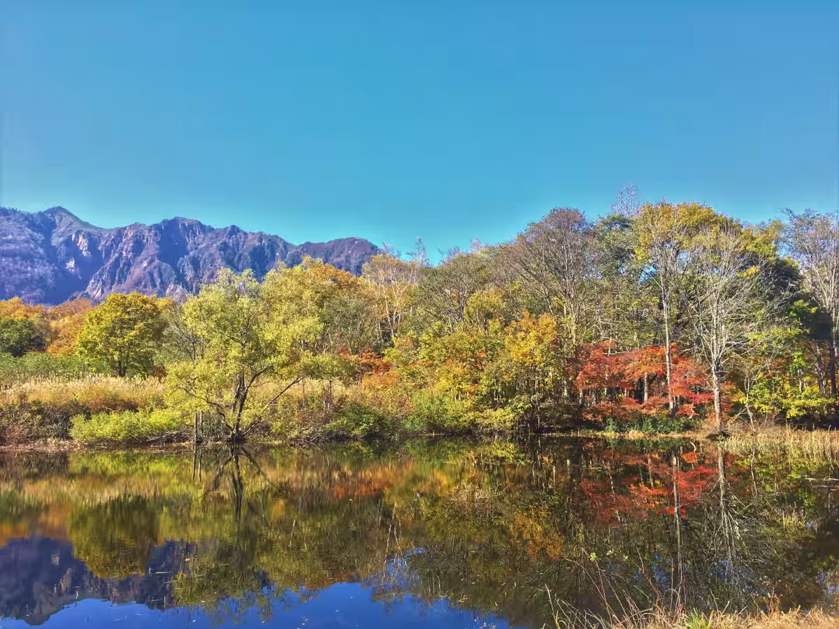 画像12