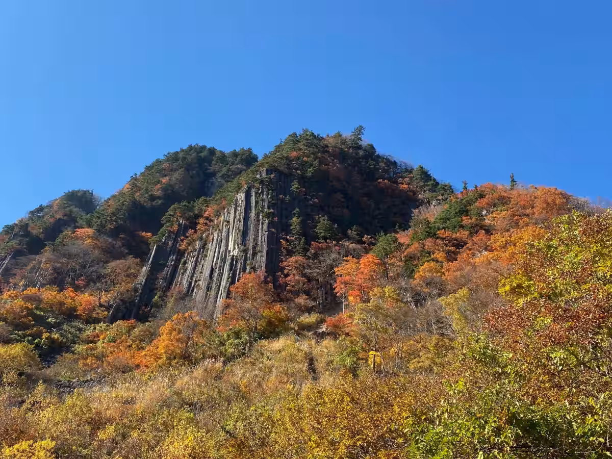 画像13