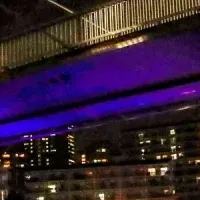 冬の鍋クルーズ