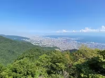 画像7