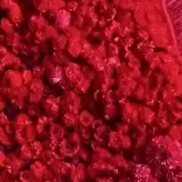 フランスパビリオンの花装飾