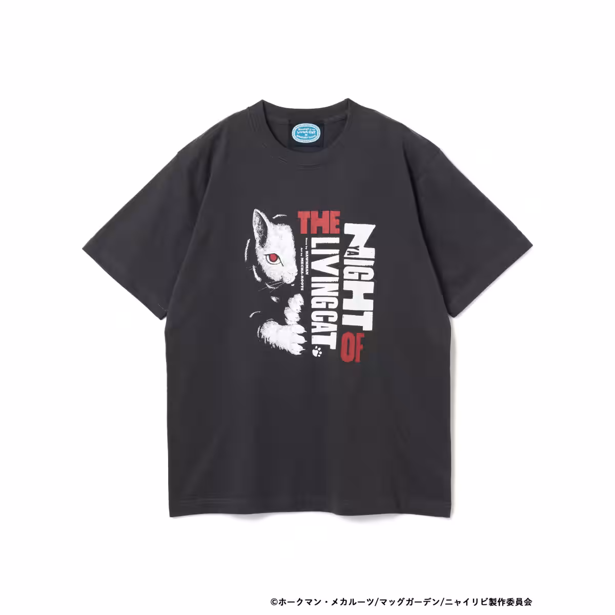 画像7