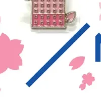 受験生応援プラン