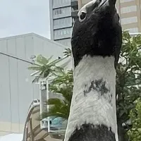 自由散歩を楽しもう